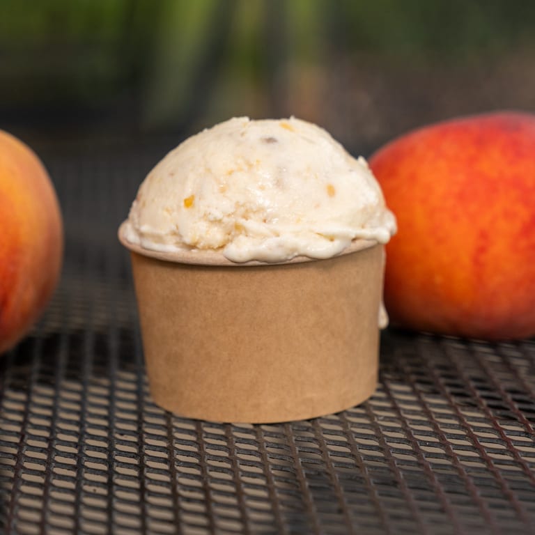 Ice Cream Dinner Delights